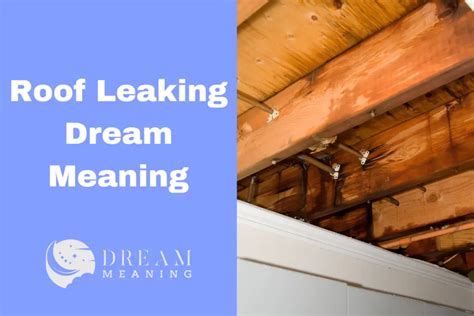 roof leaking dream|What Dream About Leaking Roof Means